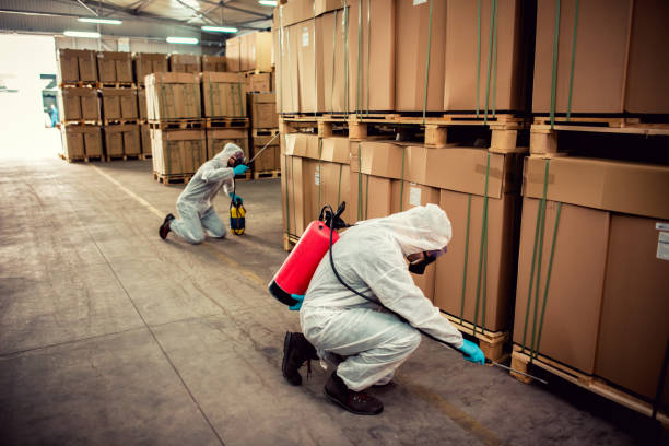 Pest Prevention Services in Billings, MT