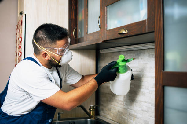 Best Wildlife Control Services  in Billings, MT