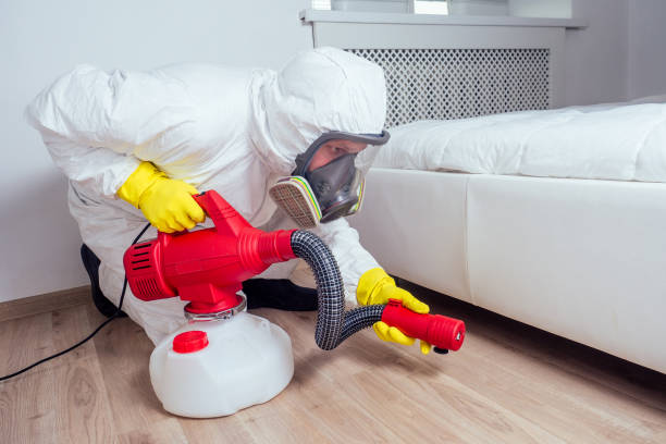 Best Mosquito Control Services  in Billings, MT