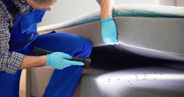 Best Exterminator Services  in Billings, MT