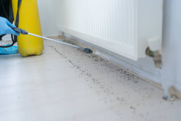 Best Pest Prevention Services  in Billings, MT